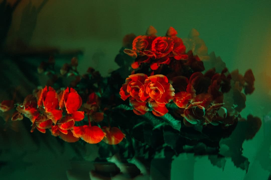 《子夜归》徐凯是干什么的？